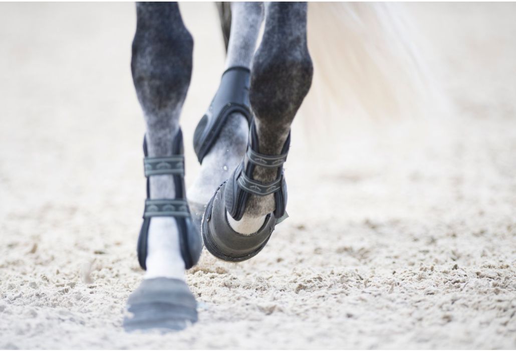 De vier energiebronnen voor een gezond paardenleven