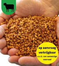 Sodagrain Tarwe - OP AANVRAAG