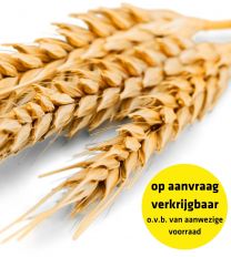 Tarwe bijproducten - OP AANVRAAG