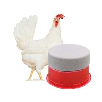 Piksteen Rood 10 kg