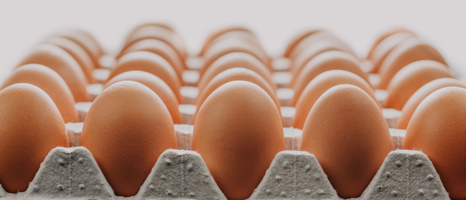 Alles wat je moet weten over PFAS in eieren