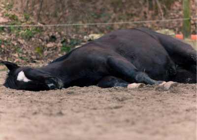 Zandkoliek: voorkomen is beter dan genezen
